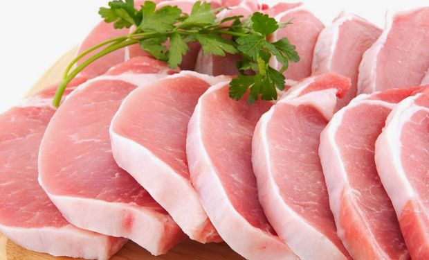 Exportações de carne suína avançam em maio e receita acumula alta de 29,8% em 2025