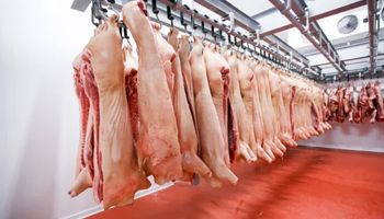 Parceria projeta mais de US$ 4 bilhões em negócios de aves e suínos