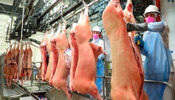 Exportação de carne suína cresce e de frango apresenta queda em janeiro