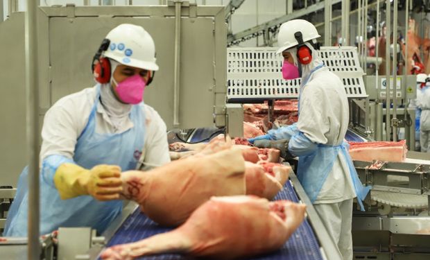 Filipinas assumem lugar da China e exportação de carne suína sobe 10,7% em 2024