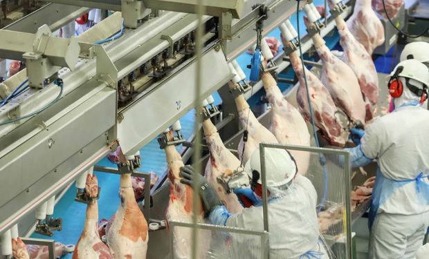 Exportações de carne suína do Paraná crescem e chegam a 70 países