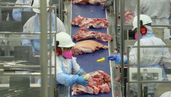 Com tarifa zerada, Brasil pode ampliar exportação de carne suína à Coreia do Sul