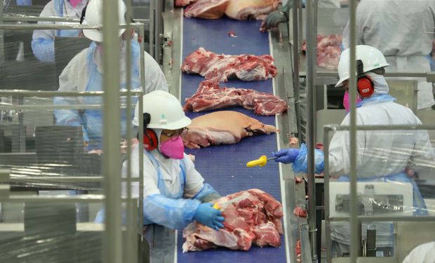Com tarifa zerada, Brasil pode ampliar exportação de carne suína à Coreia do Sul