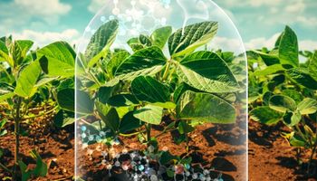 Cómo funcionan los dos insumos biológicos que marcan tendencia en la agricultura: las plantas llegan al máximo potencial de defensa y hasta logran protección contra los rayos UV