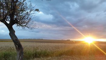 Comienzo de semana fría y con clima estable