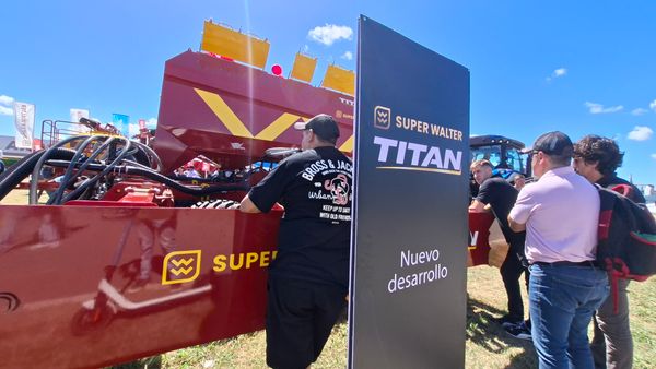 super walter titan