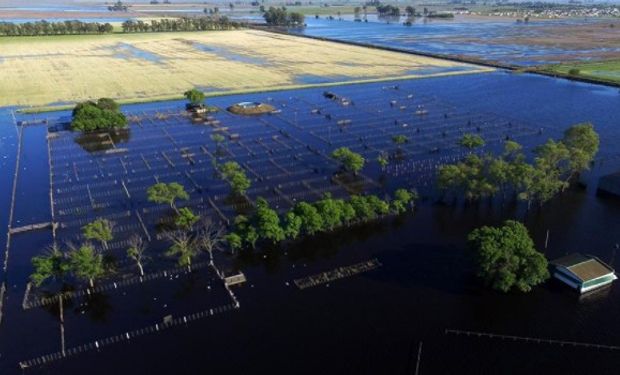 En la actualidad habría 93 mil hectáreas con agua en la superficie.