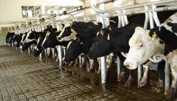 Los supermercados no quieren negociar el precio de la leche