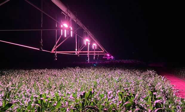 Experimentos com a tecnologia foram feitos na Fazenda Bonança, de propriedade da Marfrig