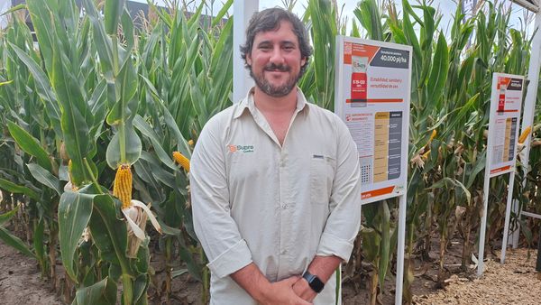 supra semillas gerente de marca