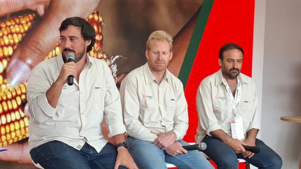 supra semillas en expoagro 2026