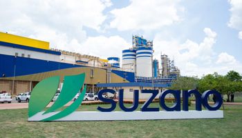 Suzano reverte prejuízo em lucro de R$ 6,3 bilhões com recuperação do preço da celulose
