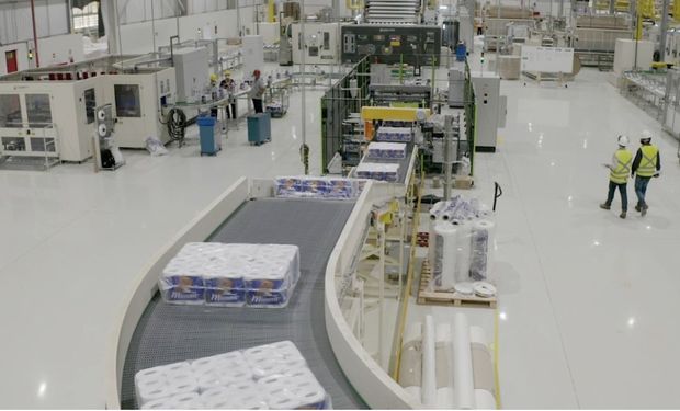 Suzano e Kimberly-Clark criam joint venture global avaliada em US$ 3,4 bilhões