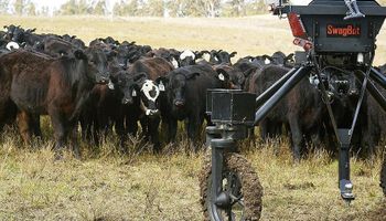 Lanzan una “vaca” inteligente que previene la degradación del suelo y se presenta como una solución ganadera