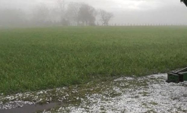 Las lluvias serán protagonistas en el oeste de la zona núcleo