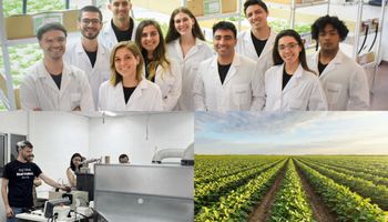 Ver para creer: con descargas eléctricas hacen que la soja crezca mejor y rinda más