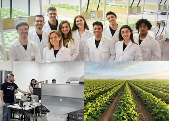 Ver para creer: con descargas eléctricas hacen que la soja crezca mejor y rinda más