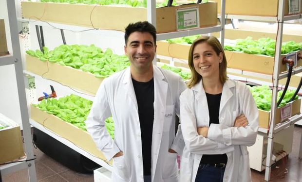Dos argentinos encontraron la fórmula para "hackear" plantas y las hacen crecer un 42% más rápido