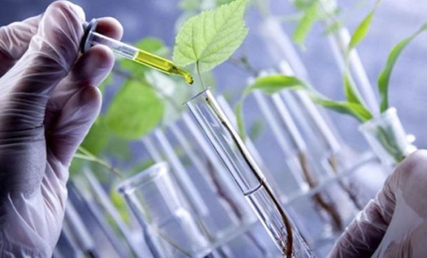 Syngenta y Bioceres acordaron la comercialización conjunta de productos biológicos a nivel mundial