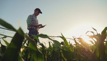 Syngenta aposta na gestão digital e traz ao Brasil plataforma que integra dados da lavoura