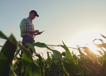 Syngenta aposta na gestão digital e traz ao Brasil plataforma que integra dados da lavoura