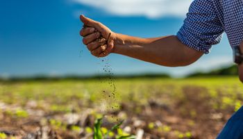 Anticipo del Congreso Aapresid 2024: presentan un innovador insecticida de aplicación foliar para la chicharrita y un bioestimulante único basado en extractos vegetales