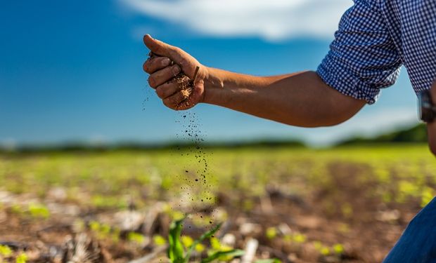 Anticipo del Congreso Aapresid 2024: presentan un innovador insecticida de aplicación foliar para la chicharrita y un bioestimulante único basado en extractos vegetales