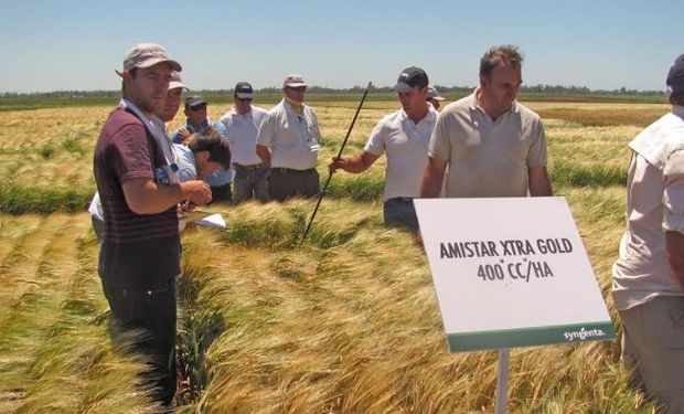 Nueva edición de Expo Syngenta Cereales.