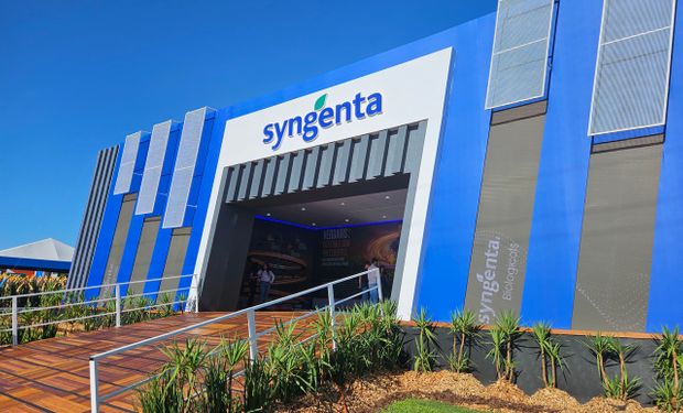 Os pilares da Syngenta Seeds para colher a liderança no mercado de sementes