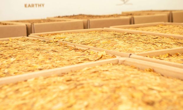 Tabaco: um mercado que pode bater US$ 3 bilhões em 2025