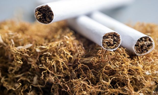 Por noveno año consecutivo cayó el consumo de cigarrillos, mientras que la producción de tabaco creció 