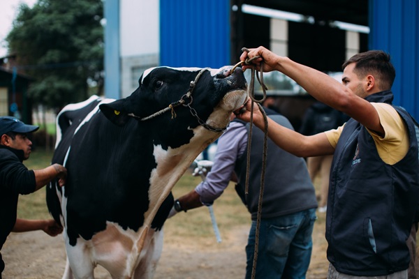 noticiaspuertosantacruz.com.ar - Imagen extraida de: https://news.agrofy.com.ar/noticia/209488/tamberos-arman-frente-batalla-defender-precio-leche-nos-dejamos-robar-es-arenga