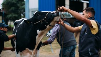 Tamberos arman un frente de batalla para defender el precio de la leche: “Nos dejamos robar", es la arenga entre productores