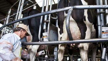 Argentina perdió 460 tambos en 2016