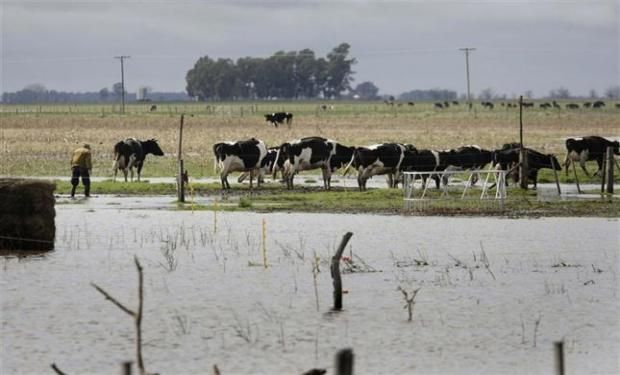 Todavía no hay certeza sobre la cantidad de hectáreas bajo el agua y sobre qué tan grave es el perjuicio sobre las cosechas y animales.