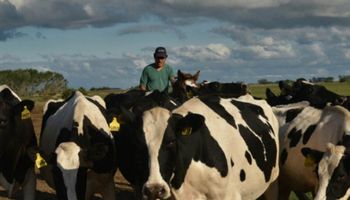 "Hoy producir leche es inviable": la carta que un tambero le envió a Macri