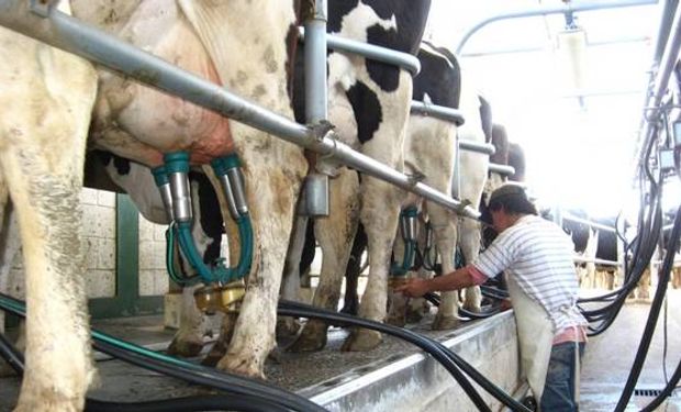 Hay preocupación en los productores.
