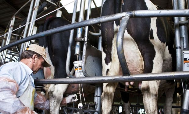 El precio promedio ponderado de la leche cobrado por tamberos de Santa Fe fue en diciembre pasado de $ 2,47 el litro contra $ 2,59 el litro en noviembre.