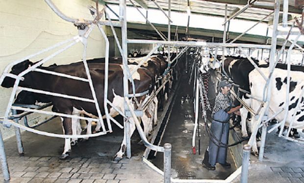 El problema se da por la baja del precio internacional de los lácteos, que vuelca más mercadería al consumo local.