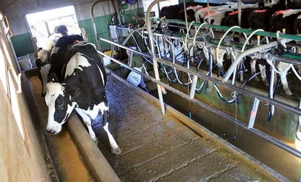 El indicador se estima como la diferencia entre el precio de la leche oficial y un vector de gastos.