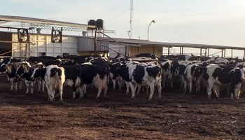 Santa Fe busca posicionar al sector lácteo en México
