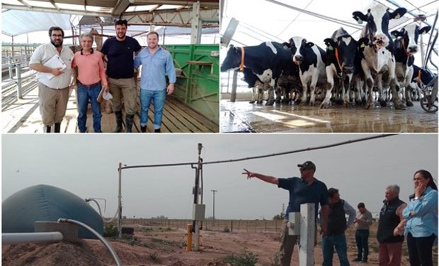 Los Alquati hacen todo bien: producen leche con bienestar animal y generarán energía eléctrica con los desechos del tambo