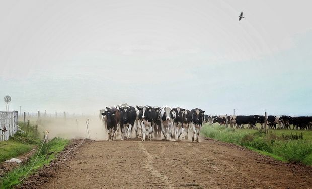 Cómo son los créditos a tasa 0% que se pagan con litros de leche