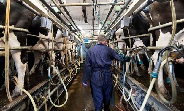 Los costos por ascensor y el precio por escalera: cuánto cobra el productor lácteo por litro de leche y cuál sería el precio de equilibrio