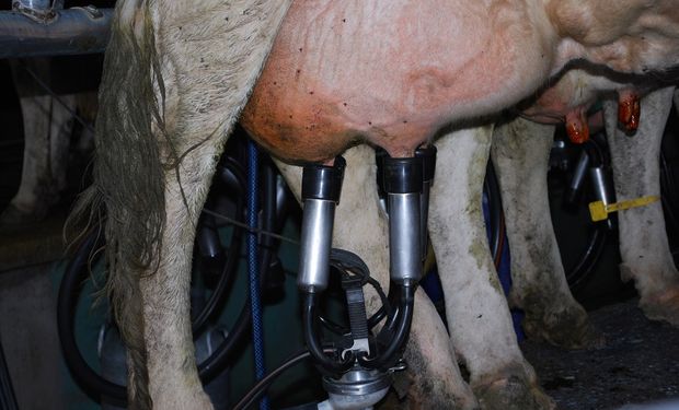 El objetivo es visualizar a los pequeños productores tamberos queseros de la agricultura familiar de la provincia.