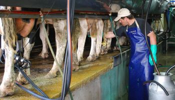 Tamberos piden medidas concretas para el sector: “Hay que recorrer un camino hacia el crecimiento”  