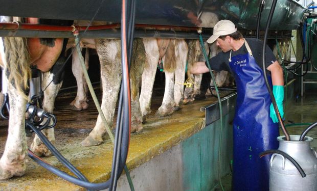 Tamberos piden medidas concretas para el sector: “Hay que recorrer un camino hacia el crecimiento”