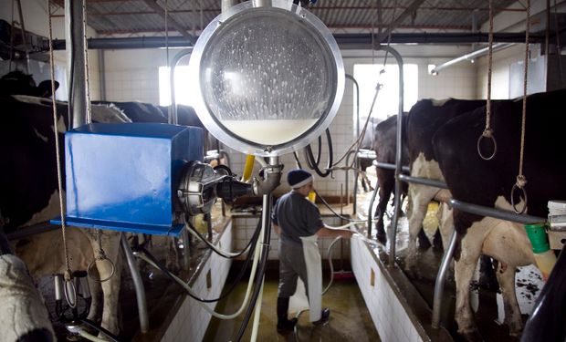 La producción de leche creció en junio un 5,7 % en relación a mayo