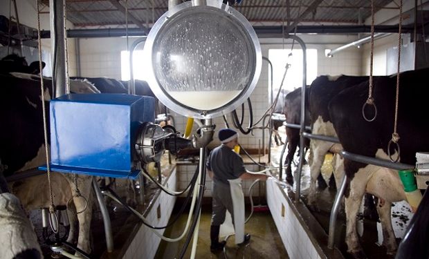 Lechería: el Gobierno trabaja en un plan estratégico para potenciar al sector