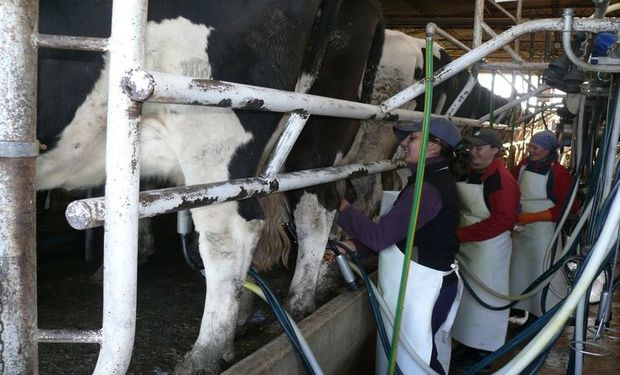 Lechería: la sequía presiona sobre la producción y hay una desaceleración en el crecimiento